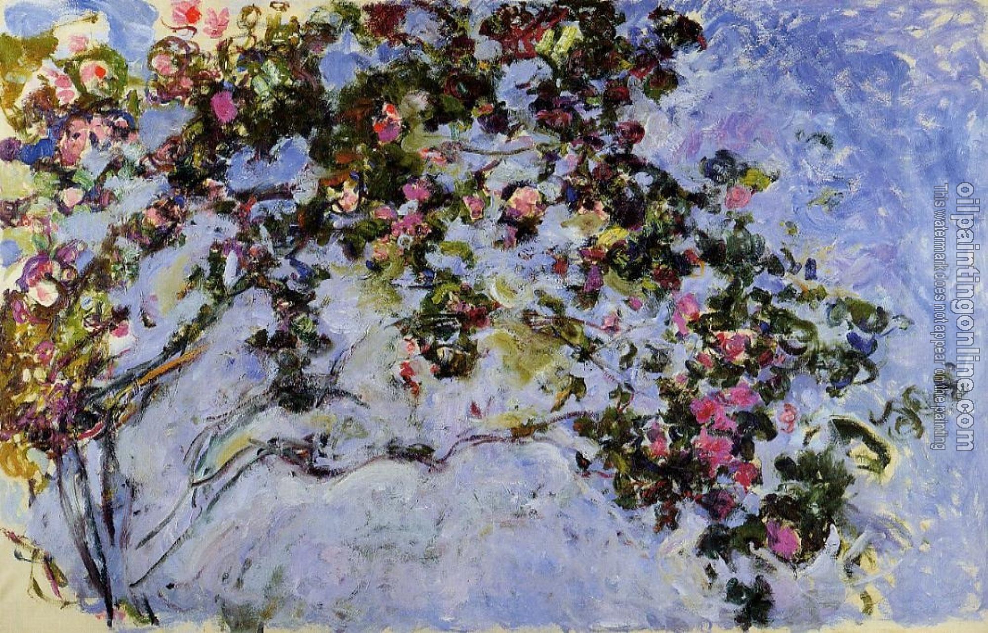 Monet, Claude Oscar - The Rose Bush